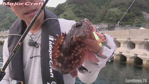 海钓路亚各种小鱼